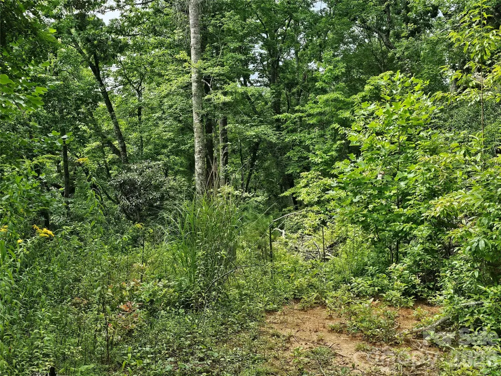98 Down To Earth Drive #98 Burnsville, NC 28714