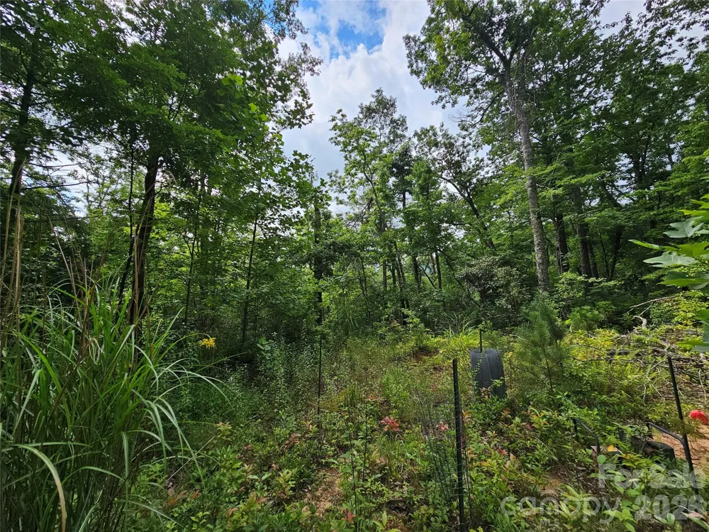 98 Down To Earth Drive #98 Burnsville, NC 28714