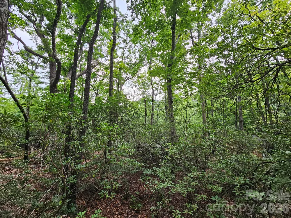 98 Down To Earth Drive #98 Burnsville, NC 28714