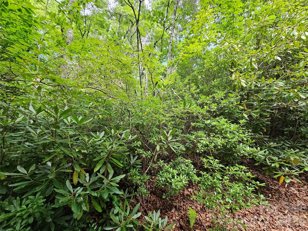 98 Down To Earth Drive #98 Burnsville, NC 28714