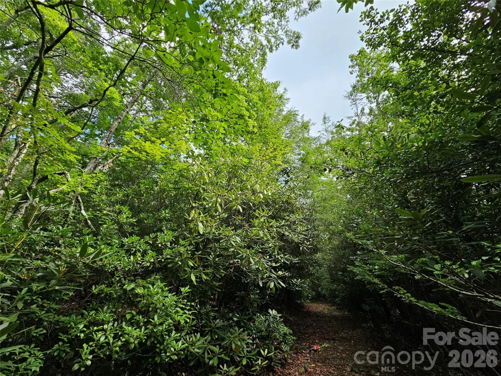 98 Down To Earth Drive #98 Burnsville, NC 28714