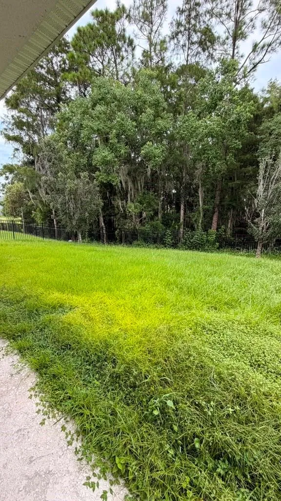 4580 STORYTELLING WAY Kissimmee, FL 34746