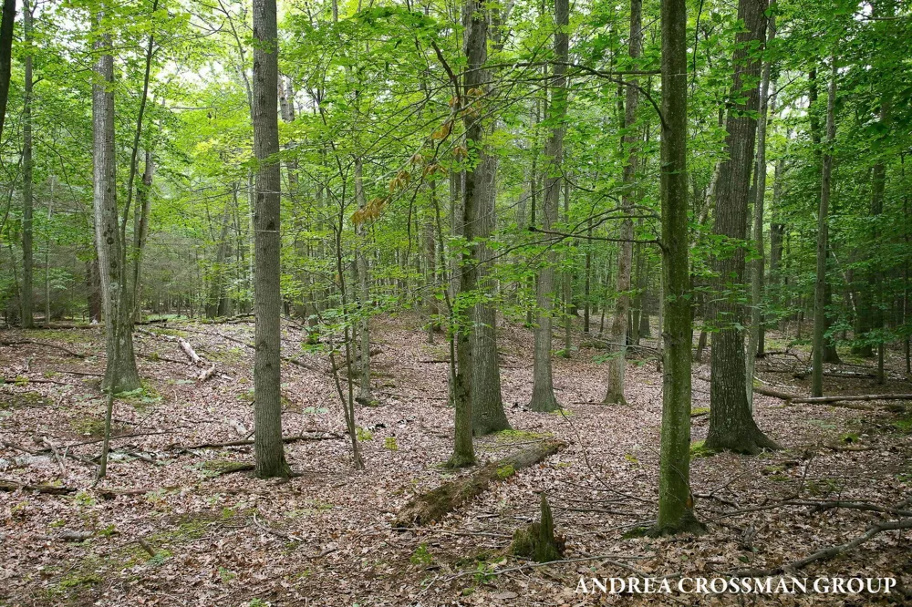 5045 Ridge Road Pentwater, MI 49449