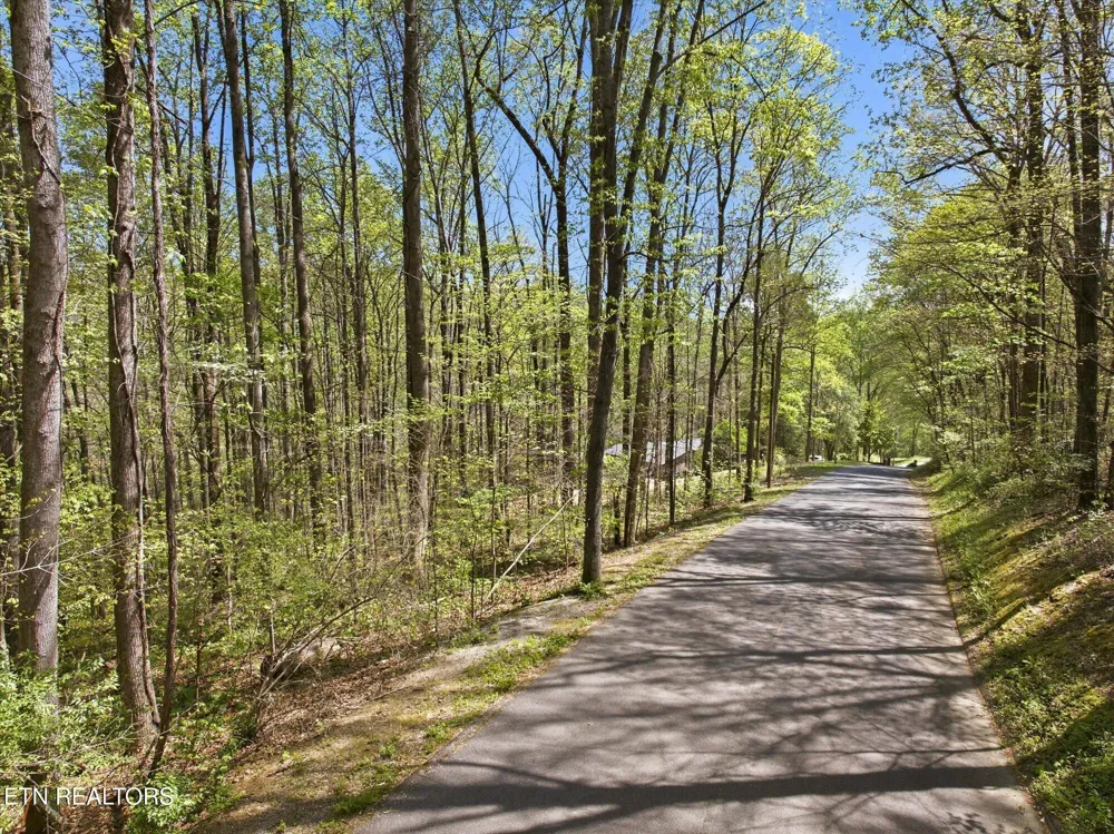 0 Skyline Drive Clinton, TN 37716