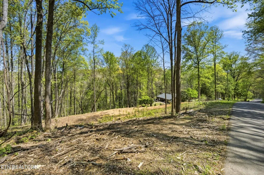 0 Skyline Drive Clinton, TN 37716