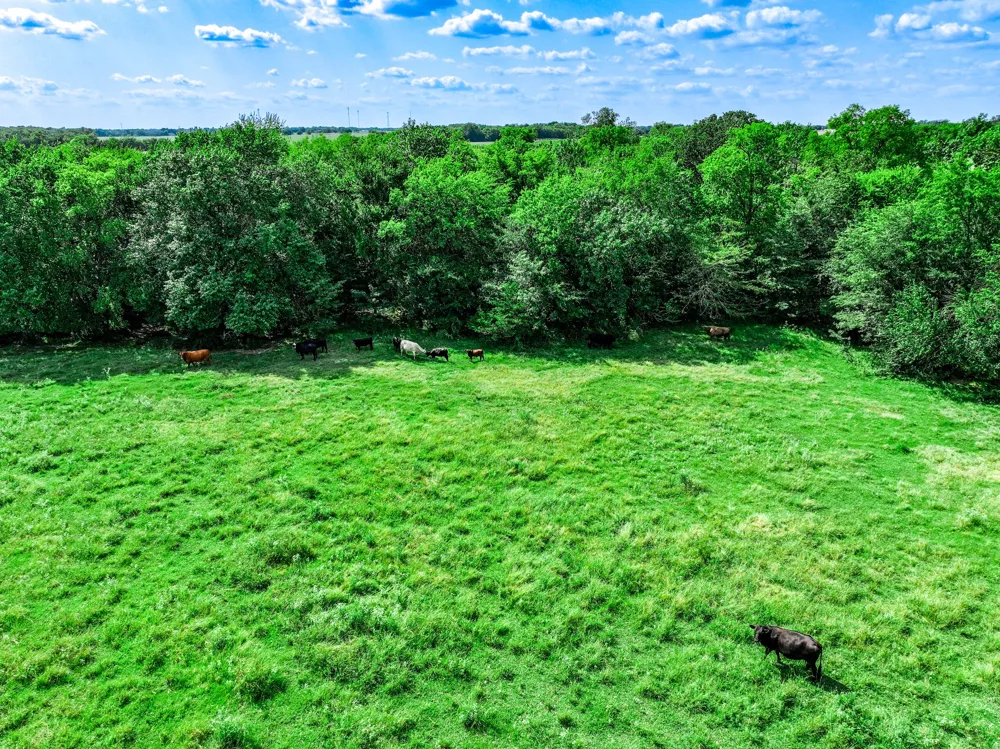 7801 W Interstate Highway 30 Cumby, TX 75433