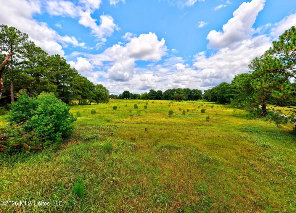 Donovan Road Lucedale, MS 39452