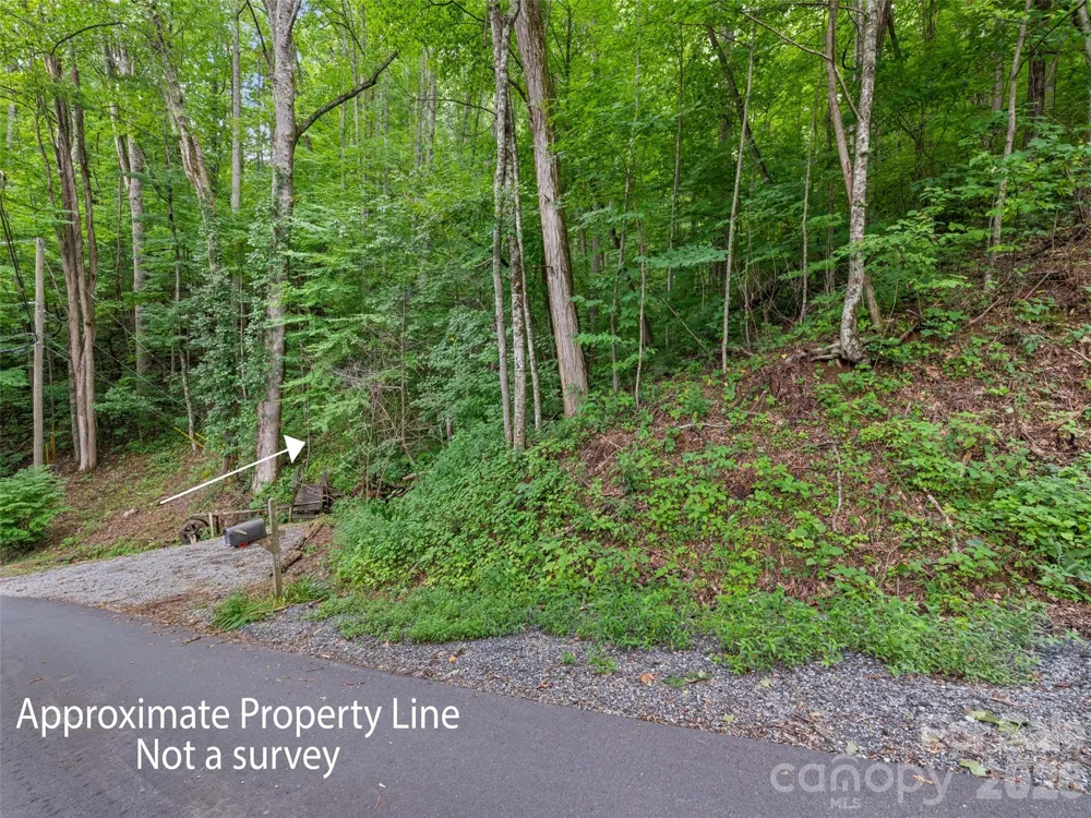 00 Dogwood Trail #21&22 Waynesville, NC 28786