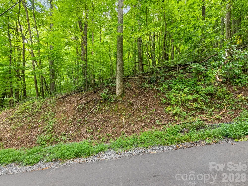 00 Dogwood Trail #21&22 Waynesville, NC 28786