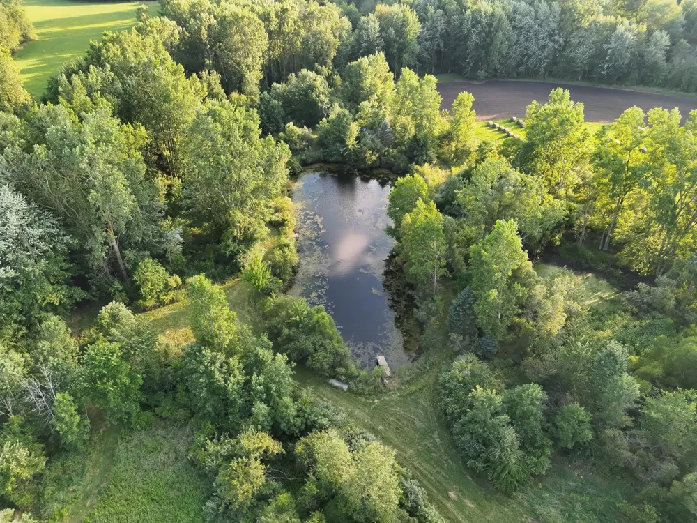 4120 E Haslett Road Perry, MI 48872