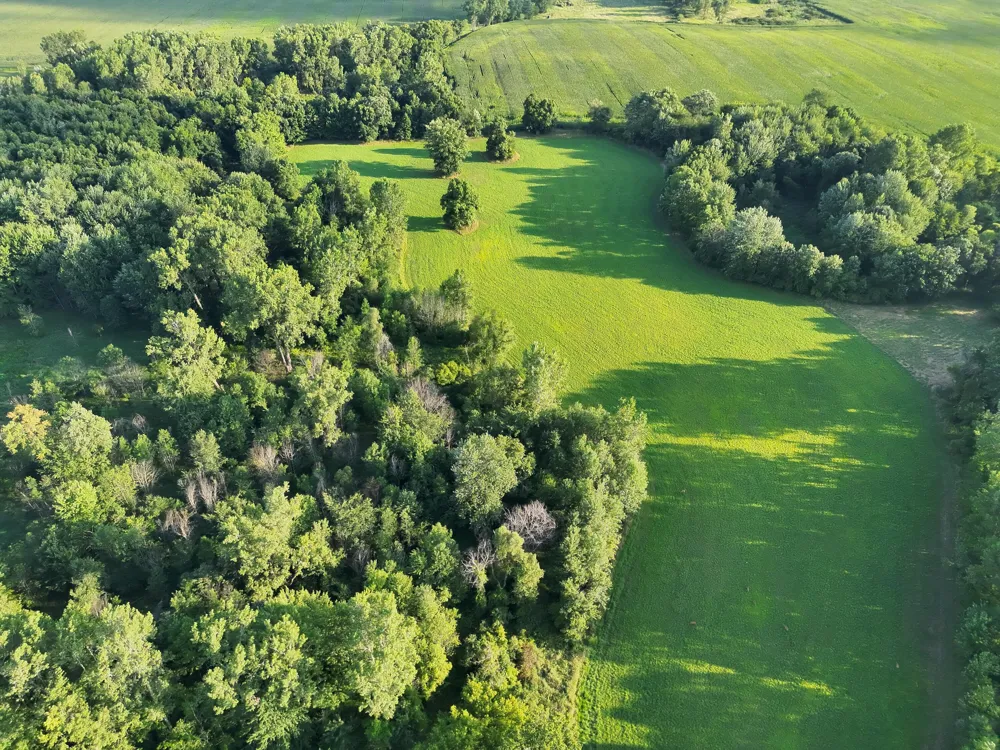 4120 E Haslett Road Perry, MI 48872