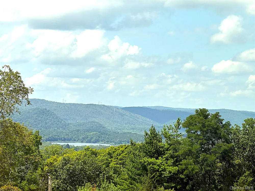 125 Sheldon Road Wingdale, NY 12594