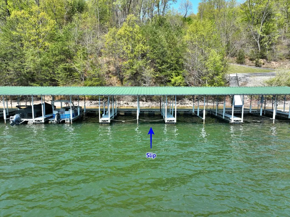 265 River Run Trail Spring City, TN 37381