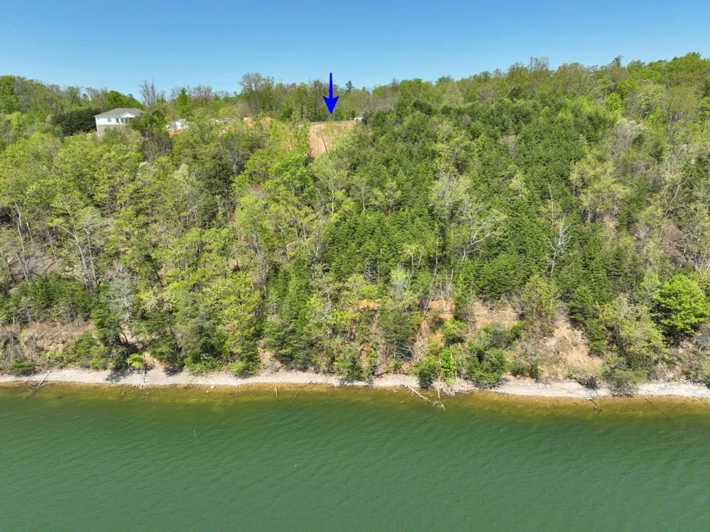 265 River Run Trail Spring City, TN 37381