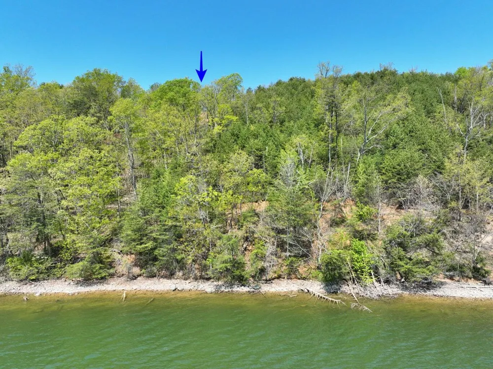 265 River Run Trail Spring City, TN 37381