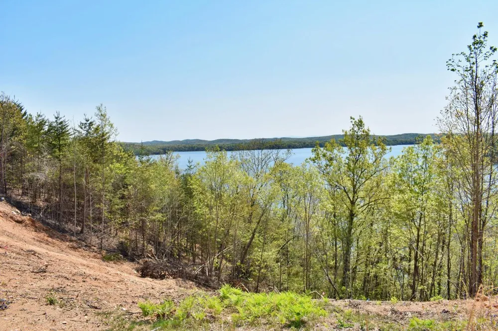 265 River Run Trail Spring City, TN 37381