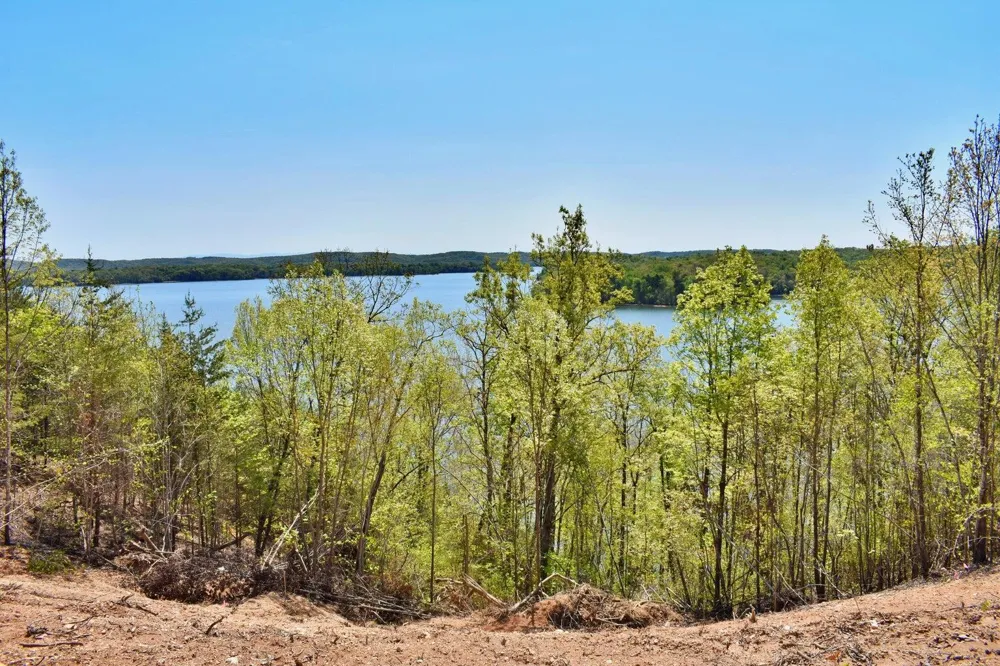 265 River Run Trail Spring City, TN 37381