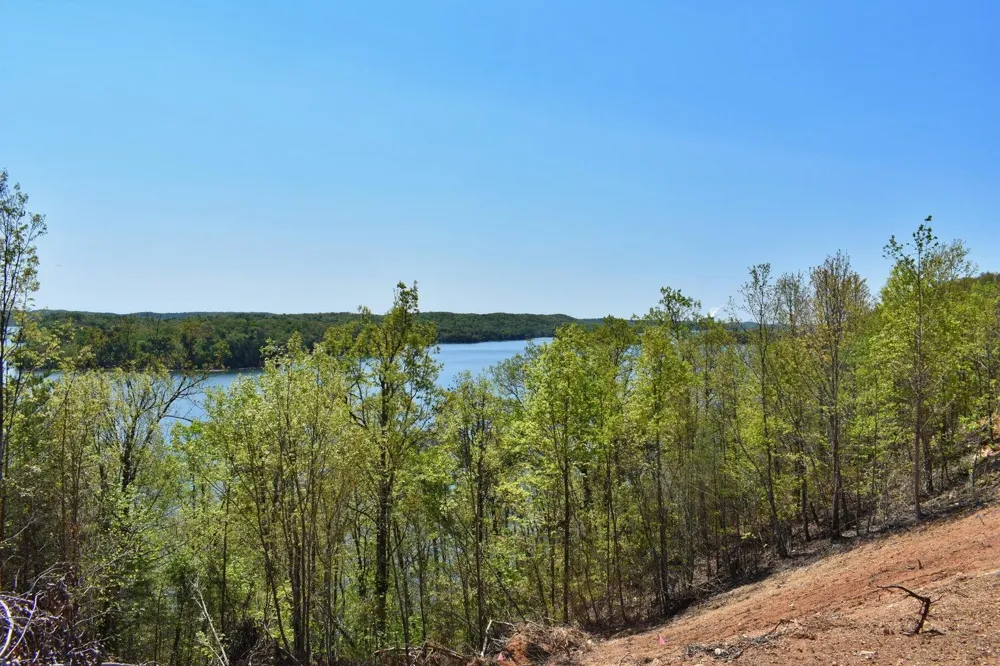 265 River Run Trail Spring City, TN 37381