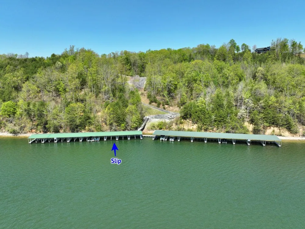 265 River Run Trail Spring City, TN 37381