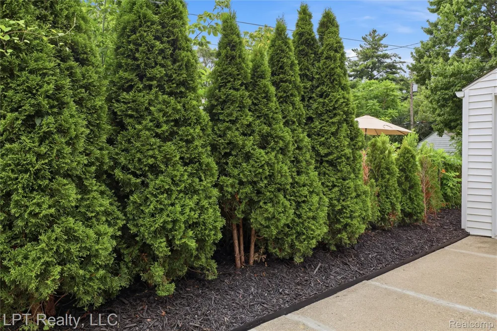 8396 Dale Street Center Line City, MI 48015