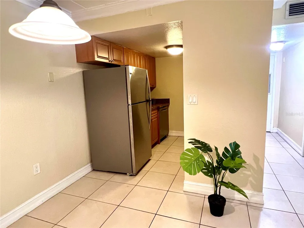 5221 BAYSHORE BOULEVARD #29 Tampa, FL 33611
