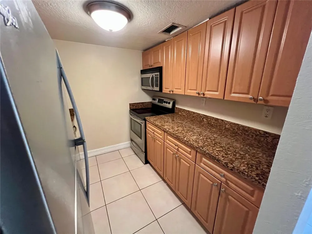 5221 BAYSHORE BOULEVARD #29 Tampa, FL 33611