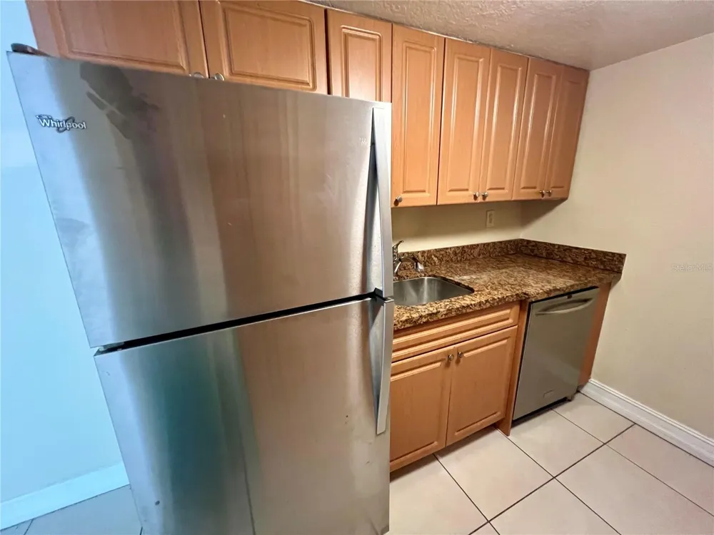 5221 BAYSHORE BOULEVARD #29 Tampa, FL 33611