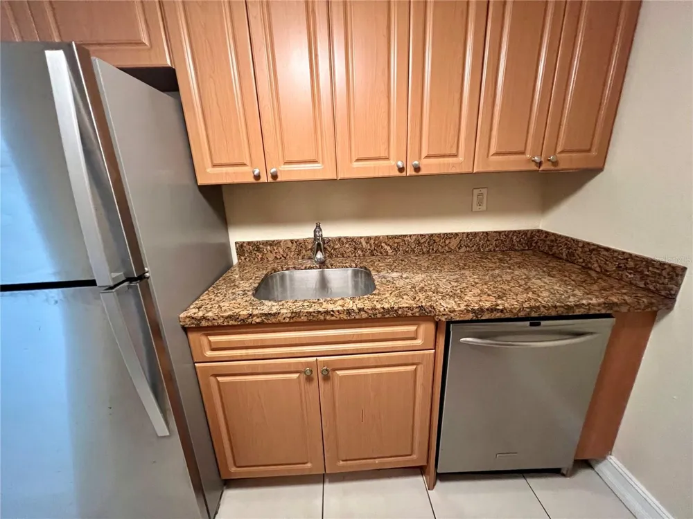 5221 BAYSHORE BOULEVARD #29 Tampa, FL 33611