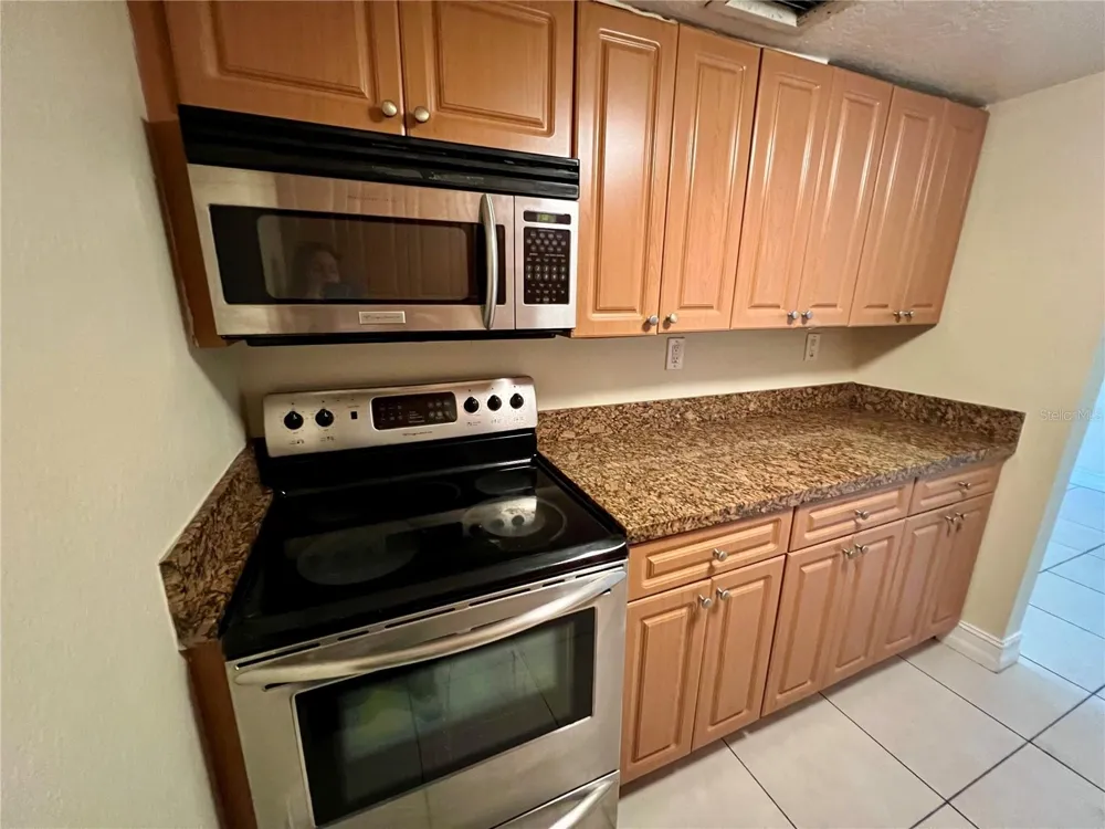 5221 BAYSHORE BOULEVARD #29 Tampa, FL 33611