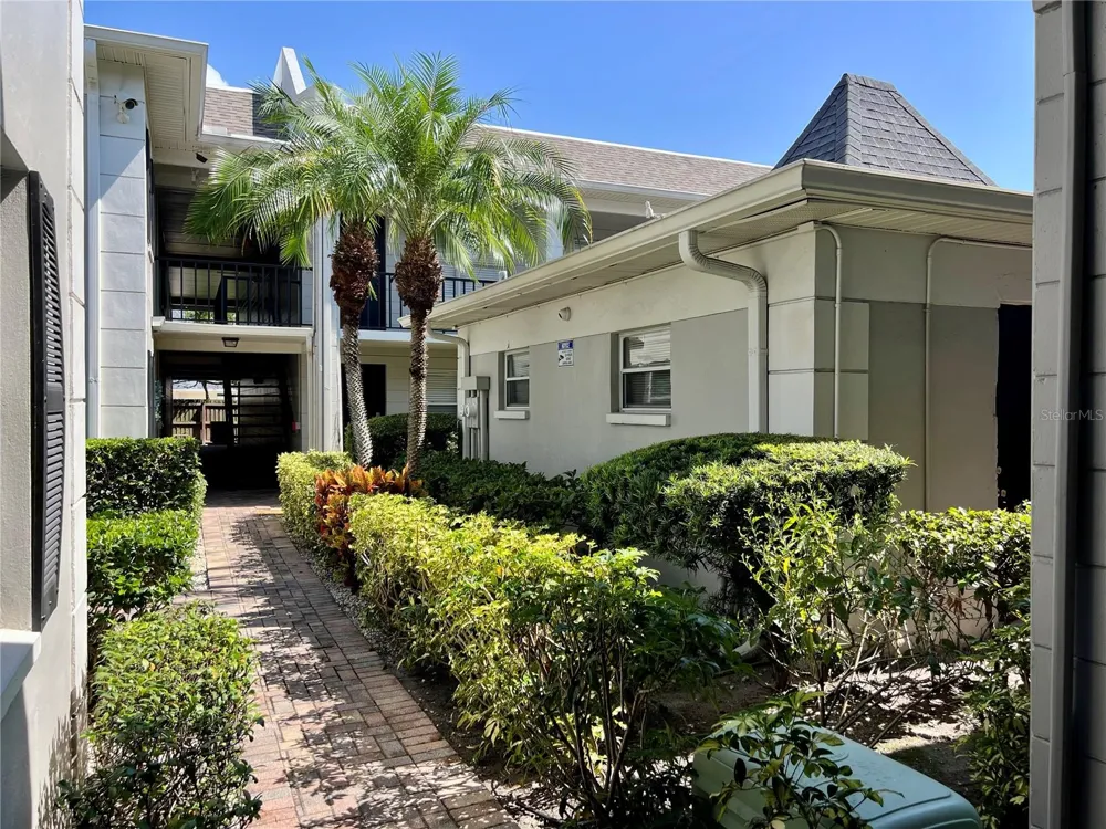 5221 BAYSHORE BOULEVARD #29 Tampa, FL 33611