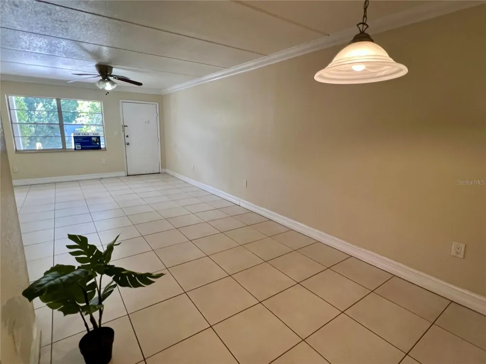 5221 BAYSHORE BOULEVARD #29 Tampa, FL 33611