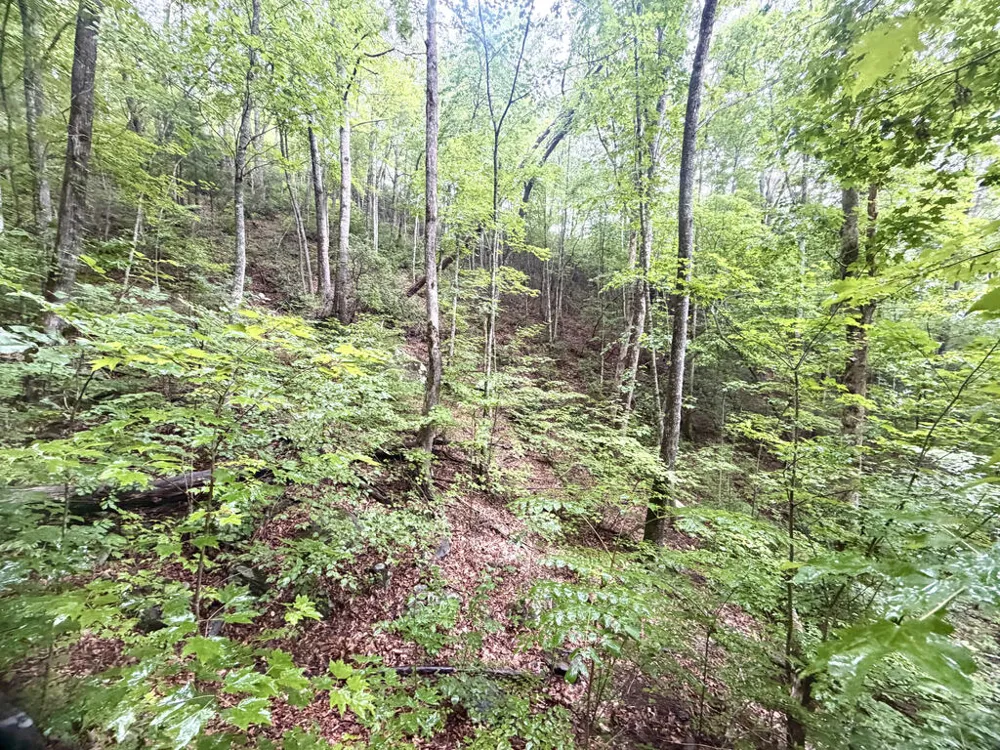 Yellow Creek Road Robbinsville, NC 28771