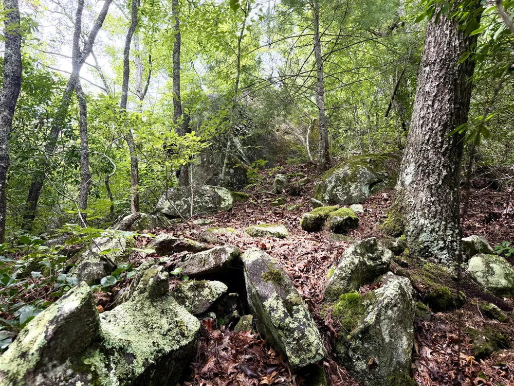 Yellow Creek Road Robbinsville, NC 28771