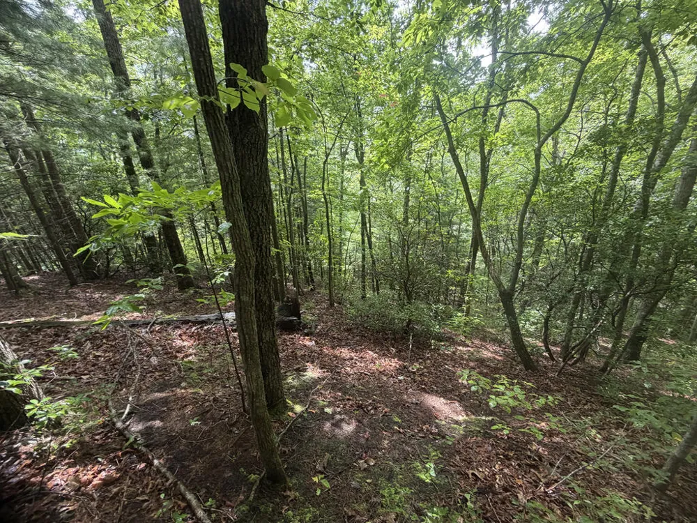 Yellow Creek Road Robbinsville, NC 28771