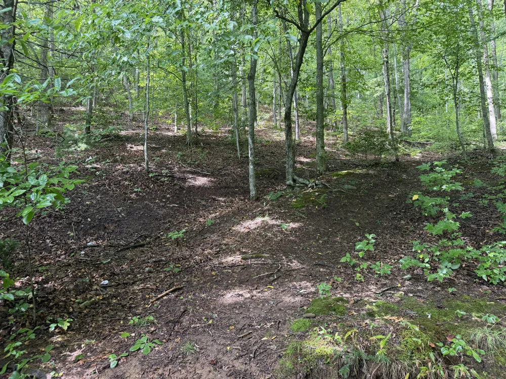 Yellow Creek Road Robbinsville, NC 28771