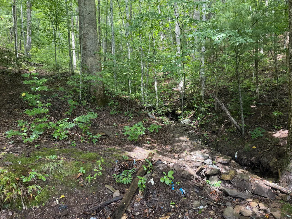 Yellow Creek Road Robbinsville, NC 28771