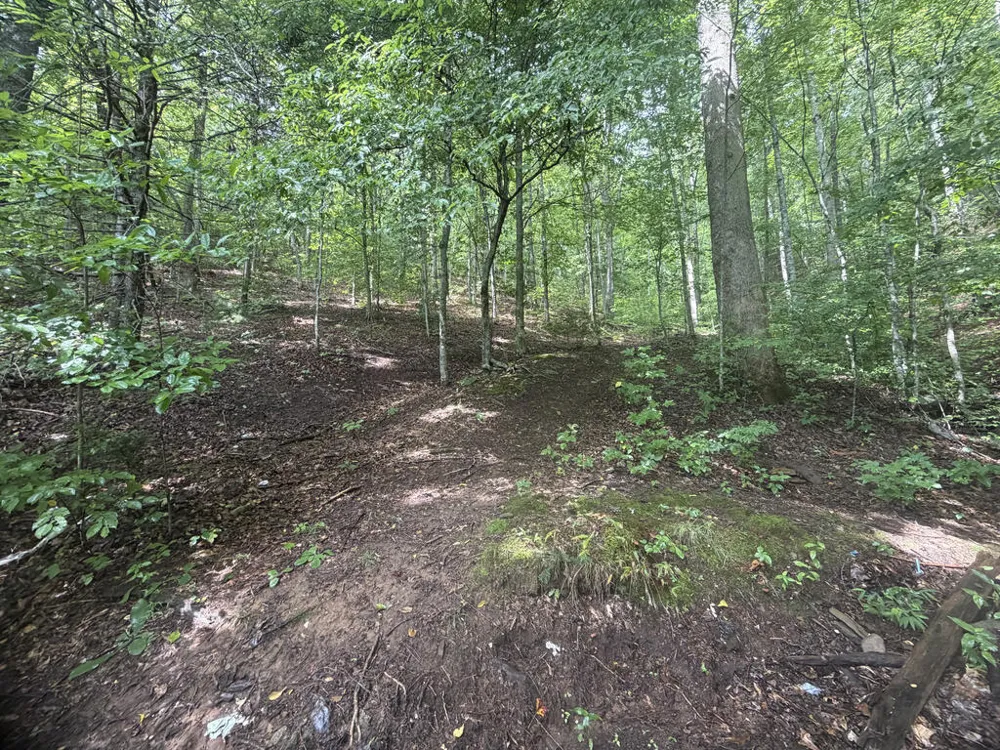Yellow Creek Road Robbinsville, NC 28771