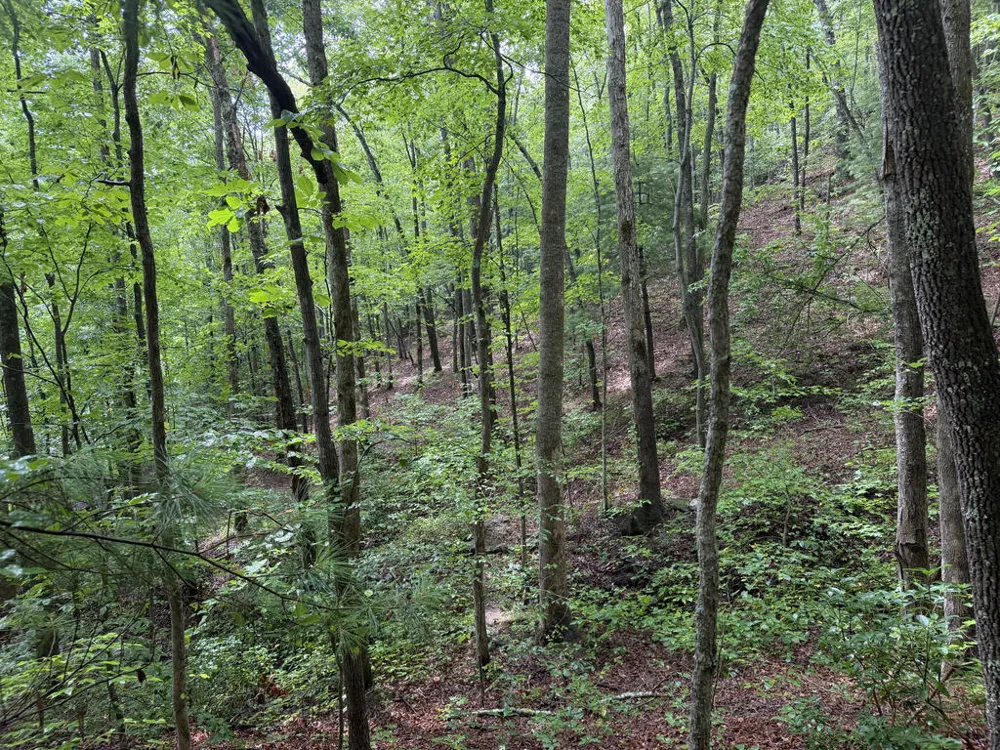 Yellow Creek Road Robbinsville, NC 28771