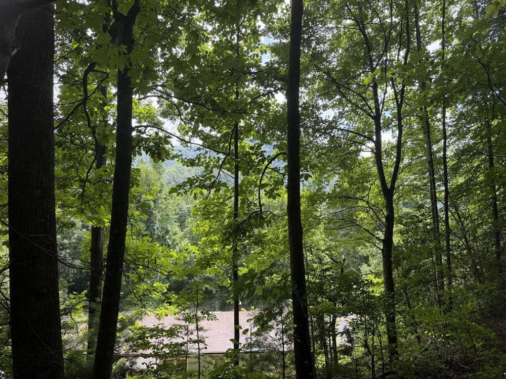 Yellow Creek Road Robbinsville, NC 28771