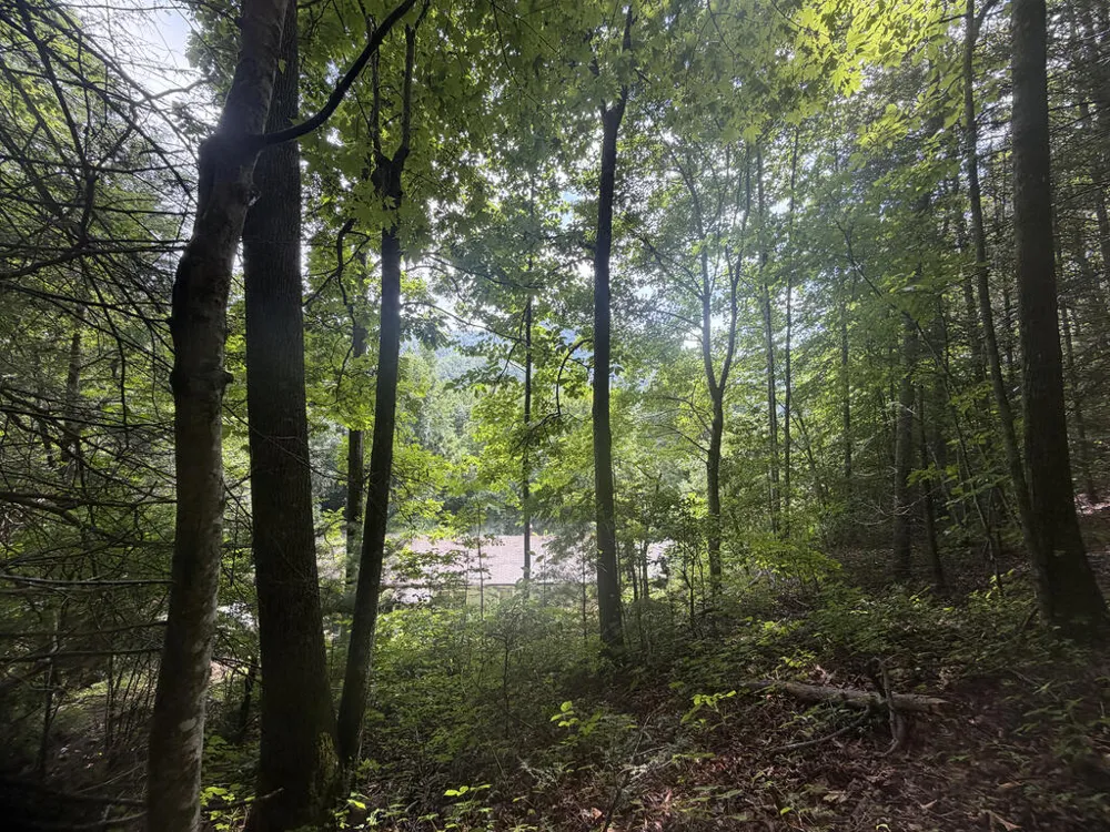 Yellow Creek Road Robbinsville, NC 28771