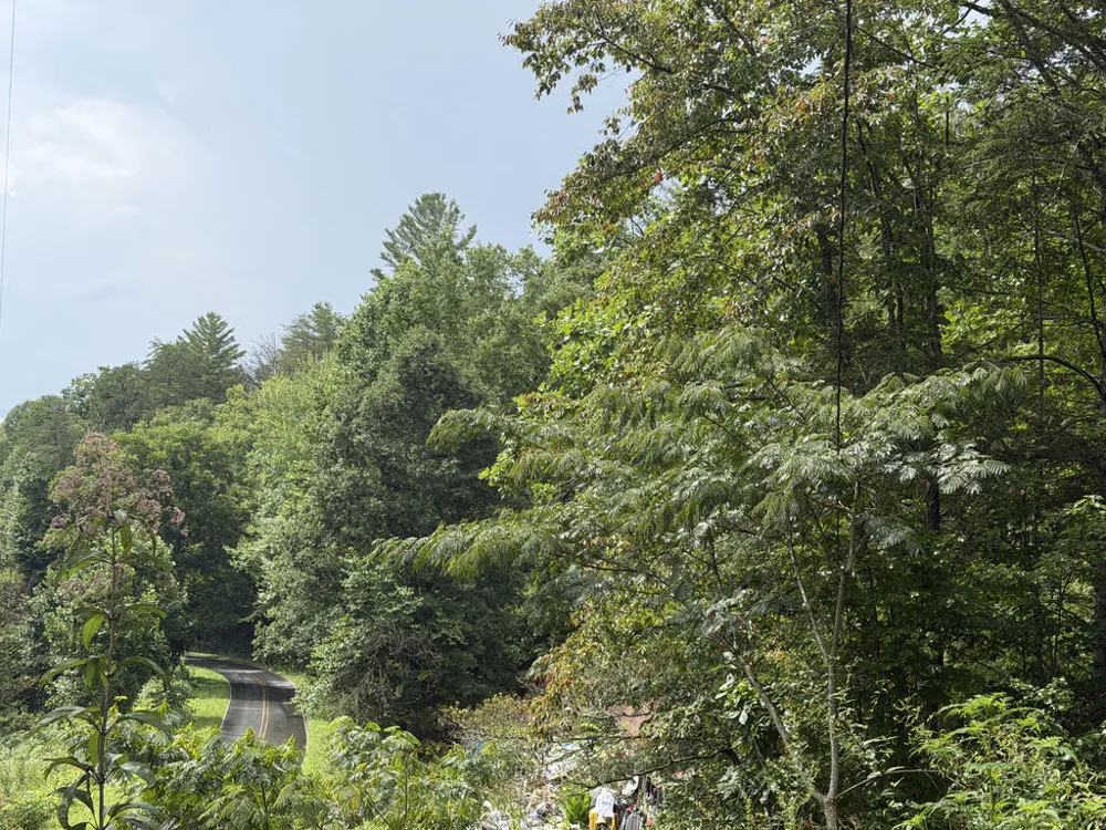 Yellow Creek Road Robbinsville, NC 28771
