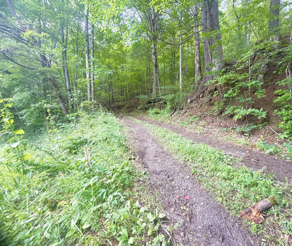 Yellow Creek Road Robbinsville, NC 28771