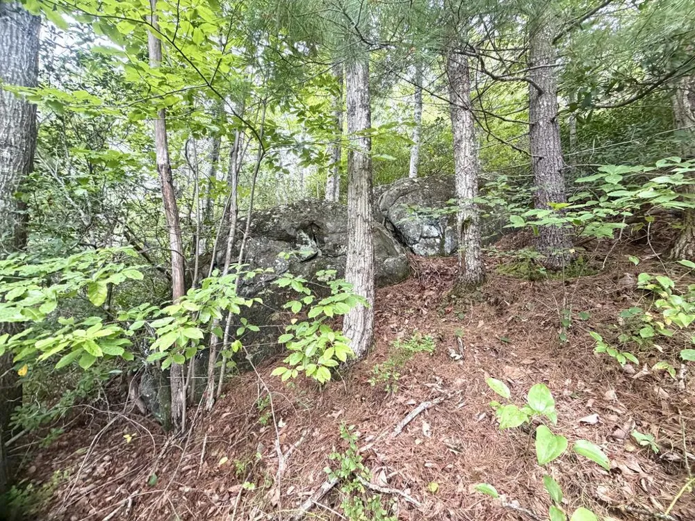 Yellow Creek Road Robbinsville, NC 28771