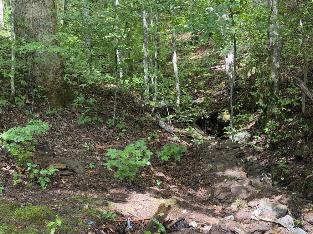 Yellow Creek Road Robbinsville, NC 28771
