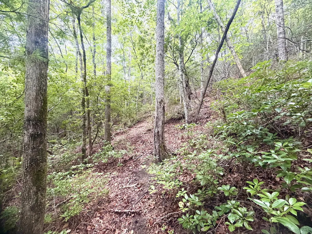 Yellow Creek Road Robbinsville, NC 28771