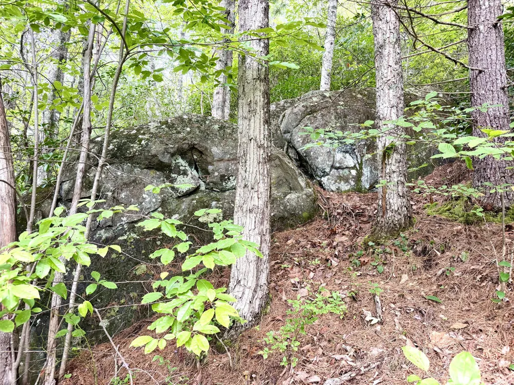 Yellow Creek Road Robbinsville, NC 28771