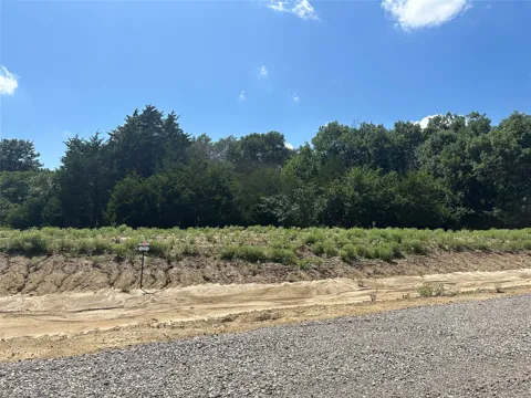 County Road 1110