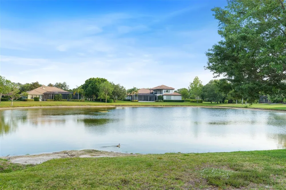 7906 FOXCATCHER COURT Odessa, FL 33556
