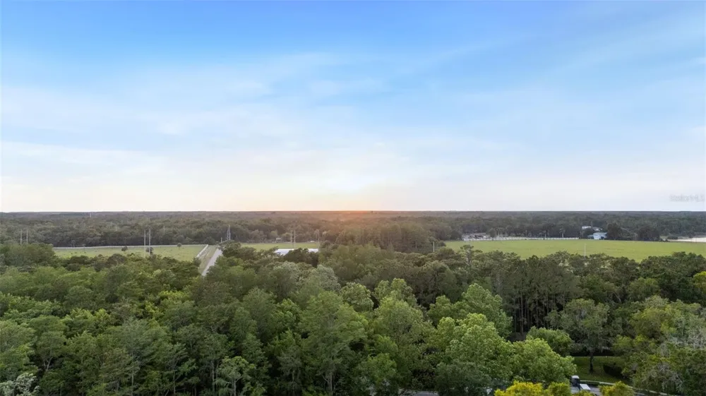 7906 FOXCATCHER COURT Odessa, FL 33556