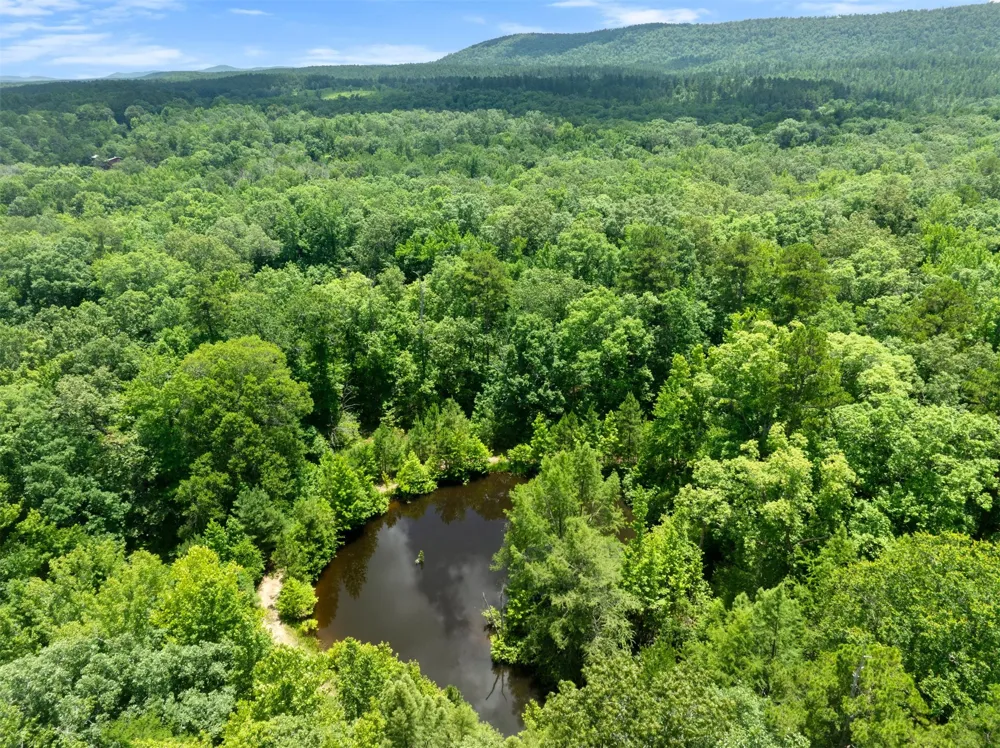 24 Sunfish Creek Trail Smithville, OK 74957